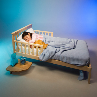 Toddler in toddler bed with rails.
