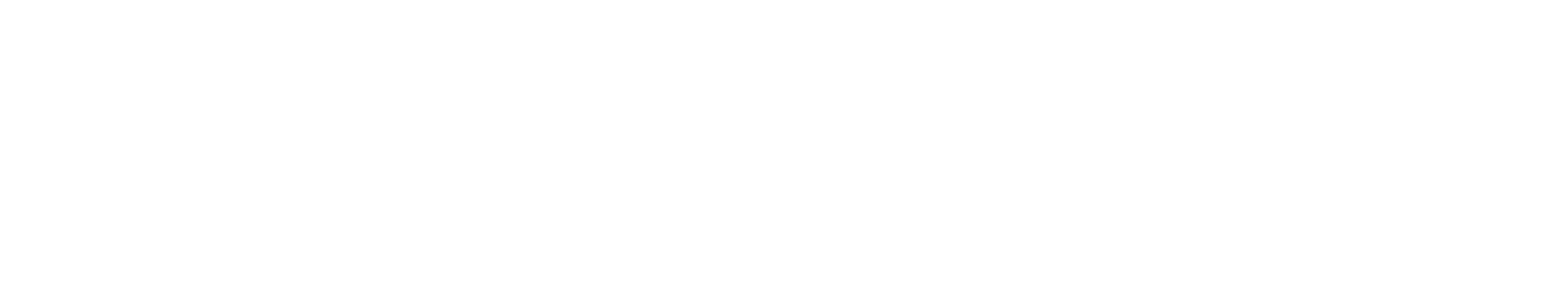 Overlake logo