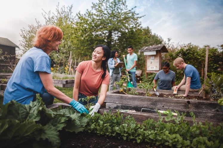 Volunteers at community garden
